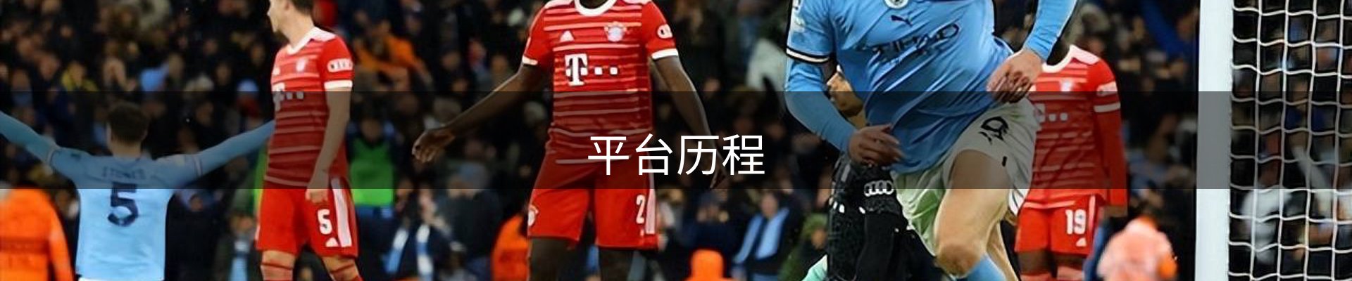 平台历程
